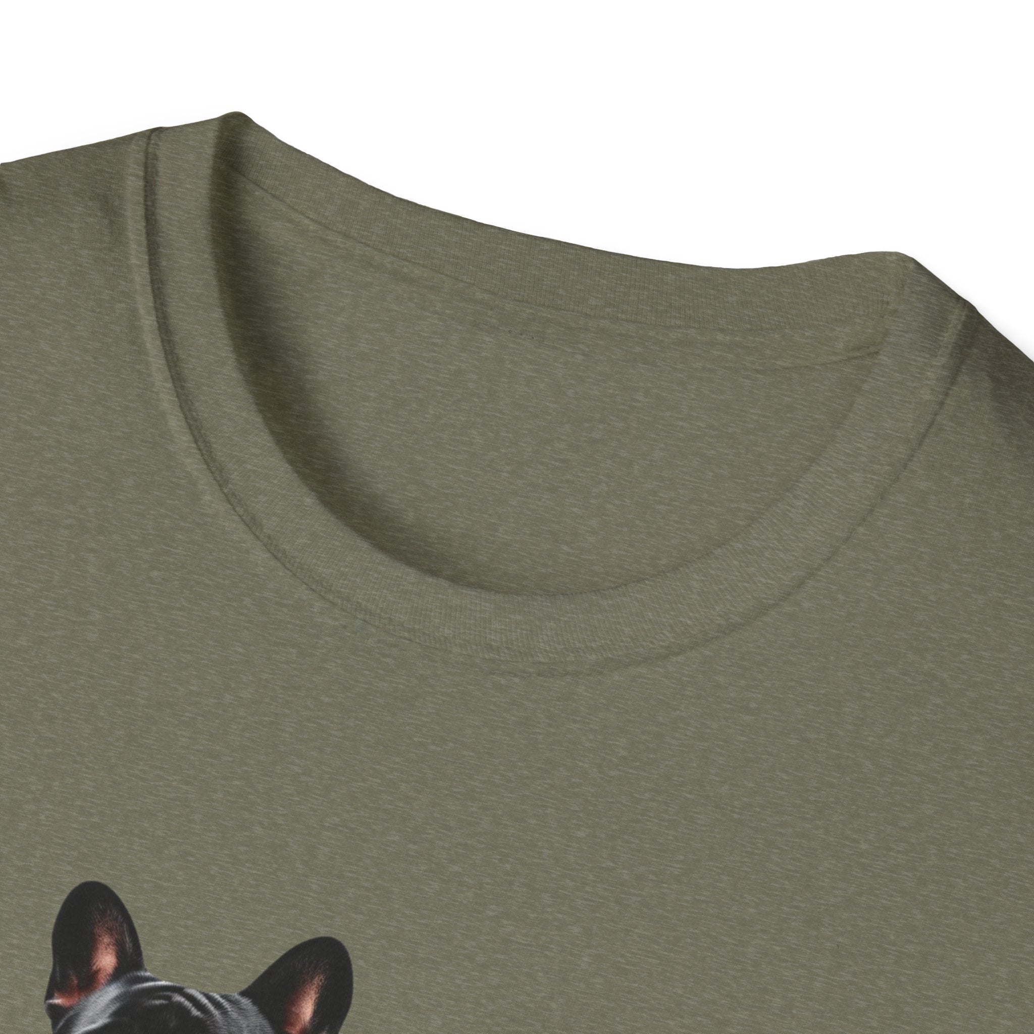 Unisex Softstyle T-Shirt - Frenchi Be your own kind of awesome